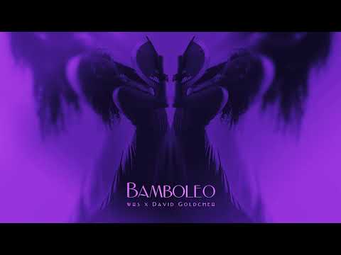 wrs x David Goldcher - Bamboleo  (Speed-up Version) | NIGHTCORE Remix
