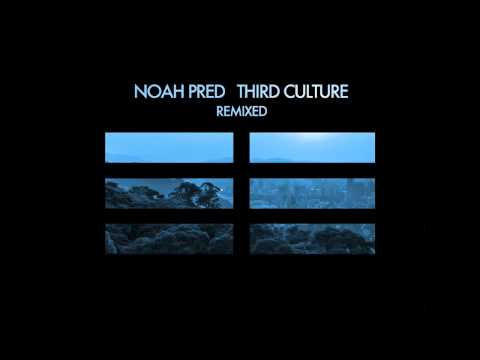Noah Pred - All Alone feat. Rosina (Nico Stojan Remix) [Thoughtless Music]