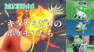 【キタカミだけのポケモンを探しに】虫贔屓でスカーレット 初見のんびり実況