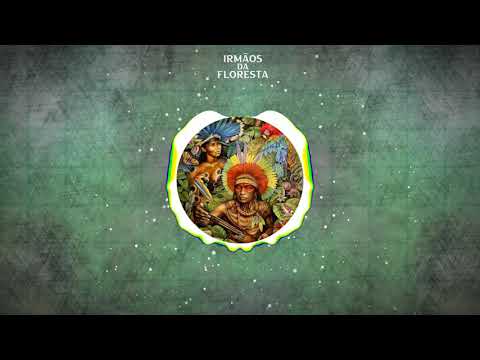 Vi Na Mata - Irmãos da Floresta