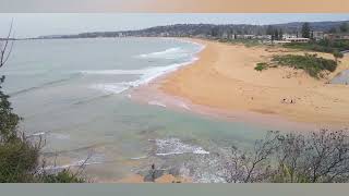 Beauty of Turimetta Headland | Coastal Highlights of Bicentennial Coastal Walk