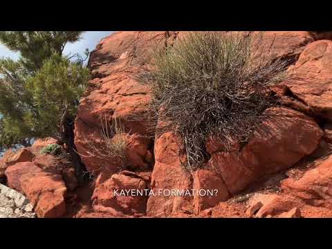 GEO 1220 Jurassic Stratigraphy