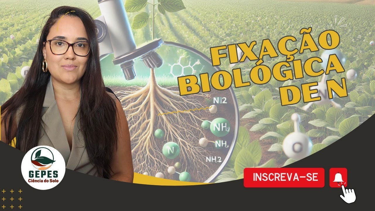 FIXAÇÃO BIOLÓGICA DE NITROGÊNIO: Organismos e Mecanismos Envolvidos. @fabiohenrique.professor