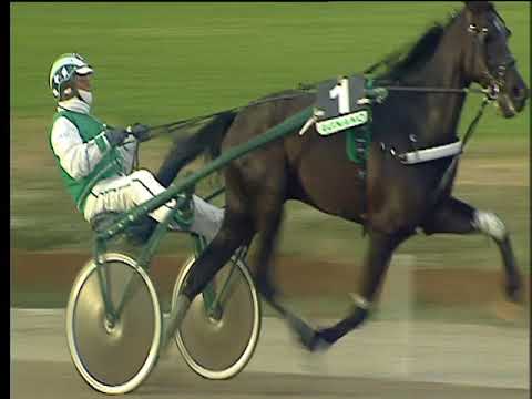 Trotto 02/01/2018 - 1ª corsa