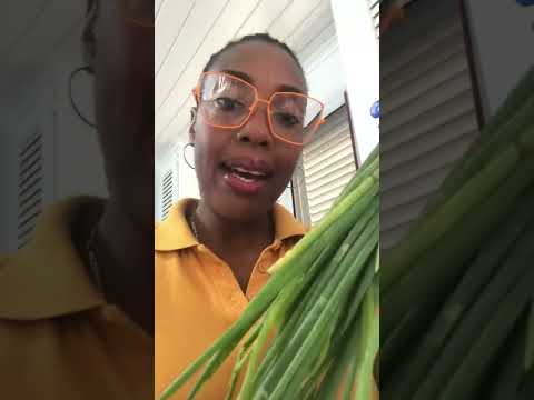 The Ultimate Barbados / Bajan Green Seasoning with Variations by Chef Glam 👩🏾🍳💕