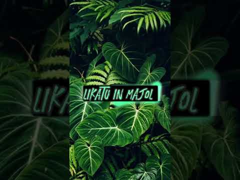 Likatu In Majol - Les Anjolok | Marshallese song #micronesia #marshallese #pacificislander