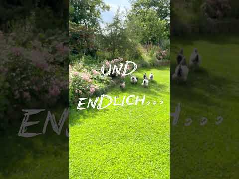 Achtsamkeit im Garten