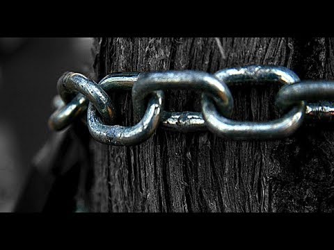 Gajenje ljubavi prema zlu i dičenje haramom   ( hfz., mr. Muhammed Porča, prof. )