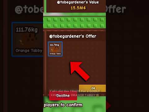 I Got a GODLY MEGA ORANGE TABBY! 🤯 | W or L? 