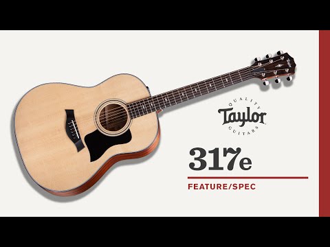 Taylor | 317e | Feature/Spec