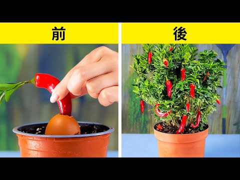  19 のトップアイデアをうまく​​注入するために、庭で育てる芳香のハーブ！  庭園