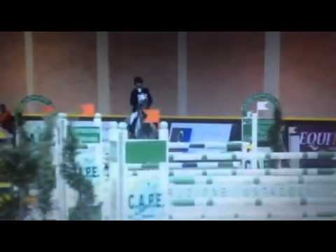 Gorla CSI YH 6yo 25102014 Prima Luna