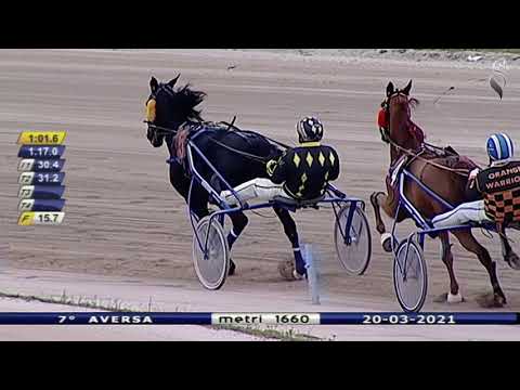 Aversa trotto 20 Marzo 2021 - 7° Corsa