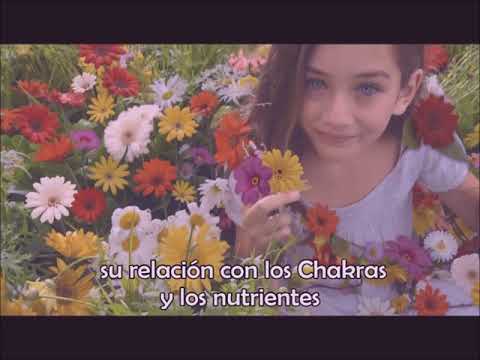¿Qué aprenderás en las formaciones intensivas de Thetahealing con Thábata Emo? en Thabata Thetahealing