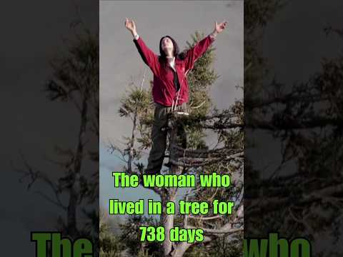Julia Butterfly Hill: the woman who lived in a tree for 738 days