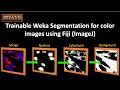 Trainable Weka Segmentation for color images using Fiji ImageJ