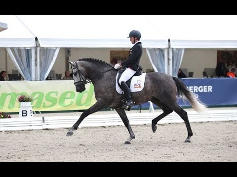 Campeonato del Mundo de Caballos Jóvenes Verden 2021 [lista]