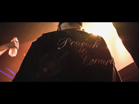 Peacock in Concert - 013 Poppodium Tilburg 2018 (Official Aftermovie)