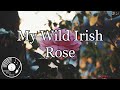 My Wild Irish Rose w/ Lyrics - Hank Locklin Version