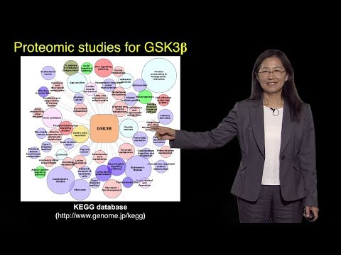 Bench to Bedside: Genetics of Circadian Rhythms, Part 2 - Ying-Hui Fu