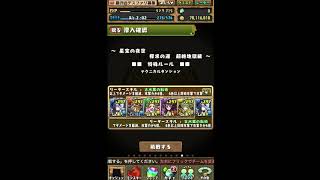 【パズドラ】星宝の夜空 安定すぎるパーティで周回