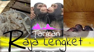 Download lagu SP. RAJA LENGKET ALPHA | Spectrum Analyzer mp3