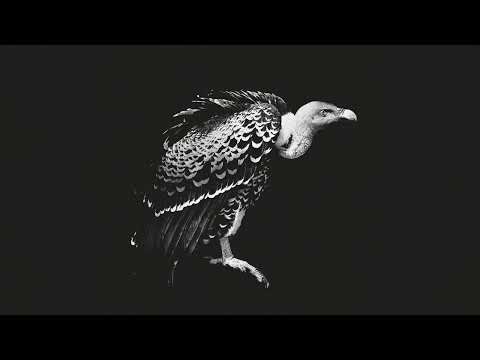 Viels & Pyramidal Decode - Privazione Individuale [Mord092]