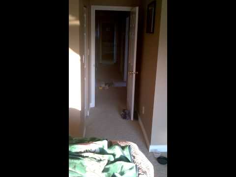 Sanchi Playing with his Fruit Ninja