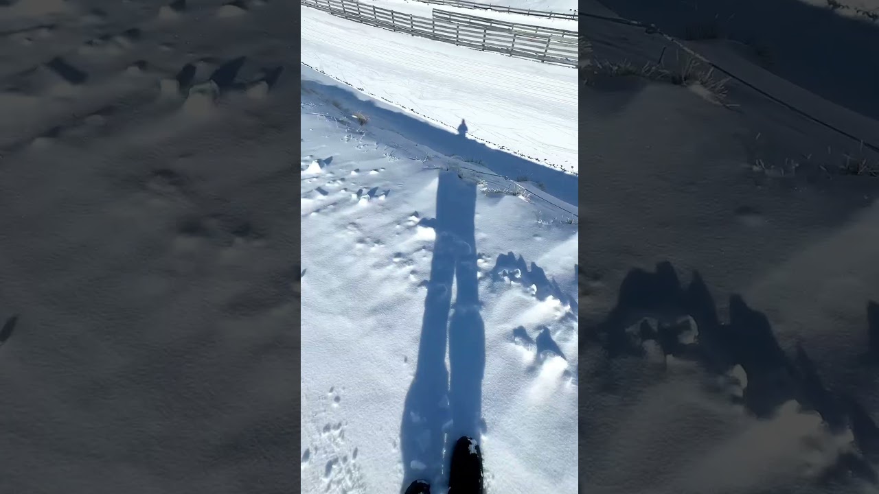 YouTube Short thumbnail