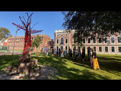 Onthulling beeld: Geef de natuur ruimte in de stad