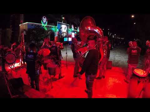 Elite La Nueva Tambora (la loba)