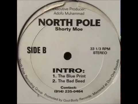 Shorty Moe ~ The Blue Print feat. CL Smooth ~ BX 1994 NYC