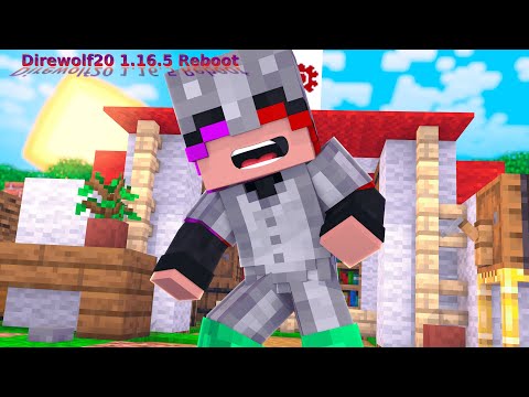 Minecraft: Direwolf20 1.16.5 Reboot ep 15 - Even More Minecolonies