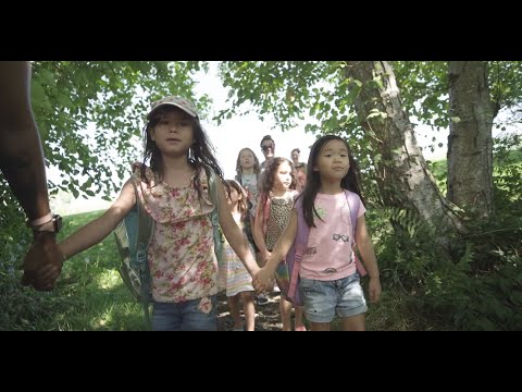 Democratic Nature School