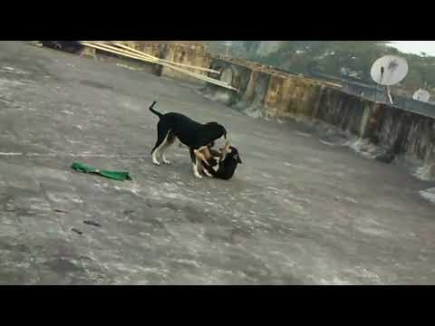 Two Brothers #fun #playful #brothers #siblings #joy