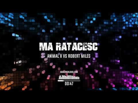 Animal X vs Robert Miles - Ma Ratacesc (Mashup)