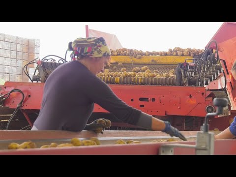 Дзяржава дапаможа фермерам видео