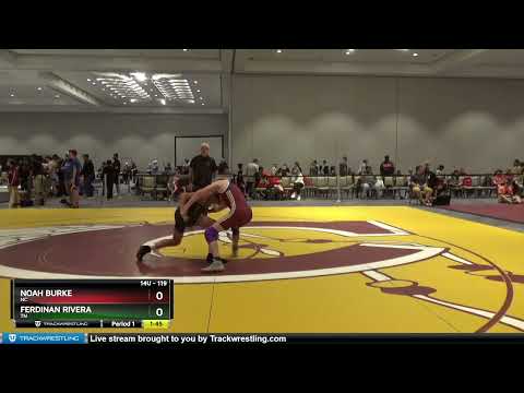 119 Lbs Quarterfinal - Noah Burke, NC Vs Ferdinan Rivera, TN 2bae