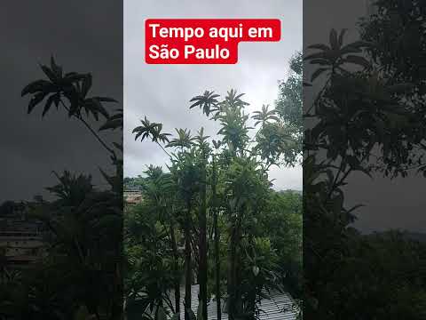 TEMPO AGORA EM JANDIRA SÃO PAULO.. #alerta #chuvas