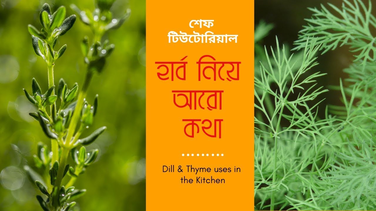 হার্ব নিয়ে আরো কথা | Dill & Thyme uses in the Kitchen | Chef Tutorial | bangla | E13-4