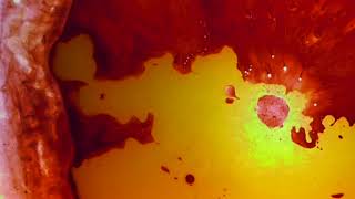 It Was A Pleasure Then #32 100 Covers Lou Reed &amp; Velvet Underground