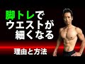 脚の筋トレでお腹の体脂肪は減る!腹筋ではない!自宅とジムトレーニング ウエストサイズダウン!
