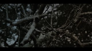 Intro & Outro Gorefest 2016