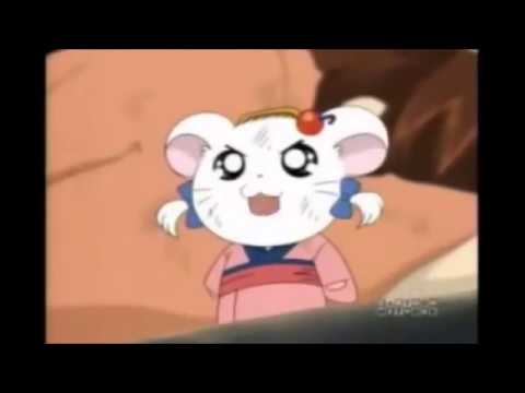 Gekijouban Tottoko Hamtarou: Ham-Ham Hamuuja! Maboroshi no Princess Hamtarou Tottoko Uta Ham-chans