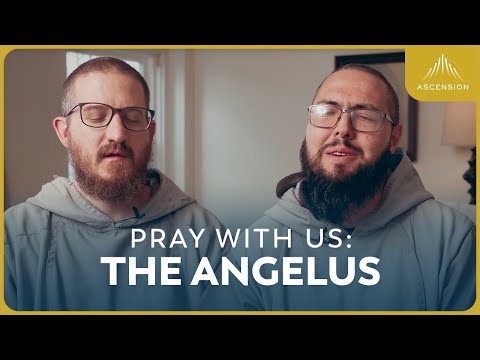 Pray with Us: The Angelus 🙏 (feat. Br. Lawrence) #assumptionofmary