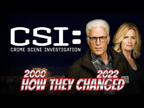 CSI: Crime Scene Investigation Cast 2000 Then and Now 2022 | How They Changed