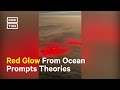 Social Media Goes Wild Over Mysterious Red Glow in Ocean