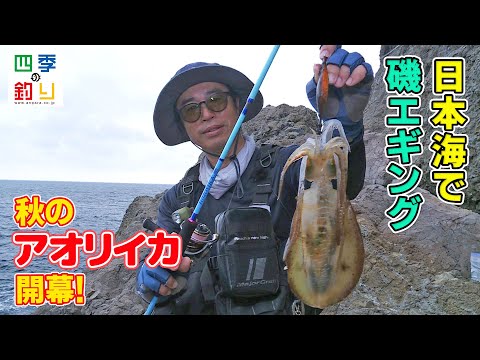 秋のアオリイカ開幕！日本海で磯エギング（四季の釣り/2022年9月30日放送）
