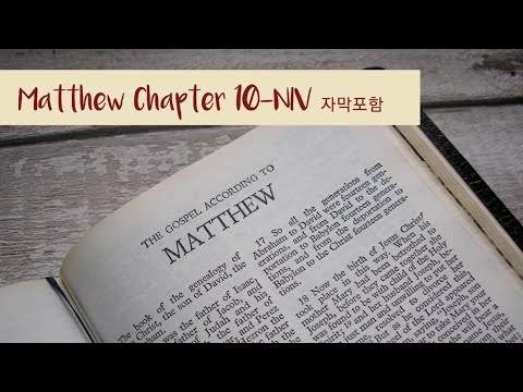 Matthew 10 NIV AUDIO BIBLE (with text)