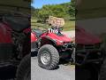 They Should Have Paid ME To Take This ATV Atv Diy